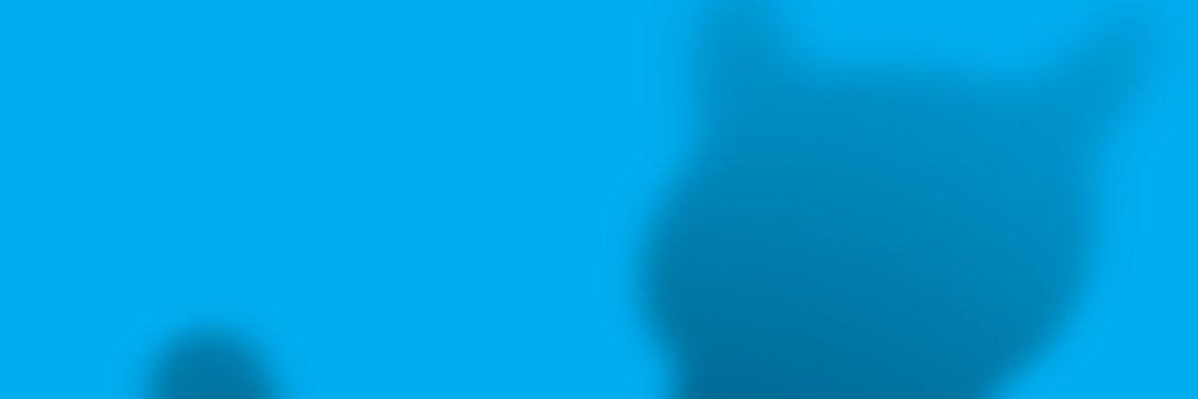 Tv Sorrisi e Canzoni's banner