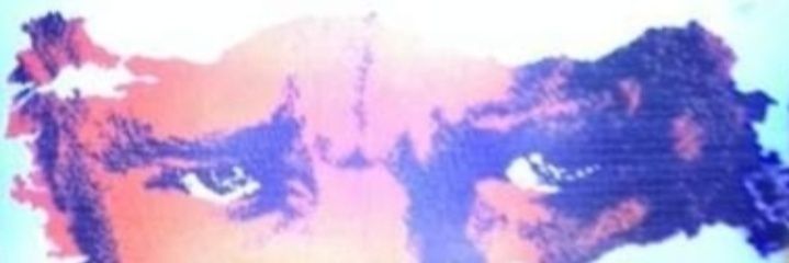 Güzin * GS's banner