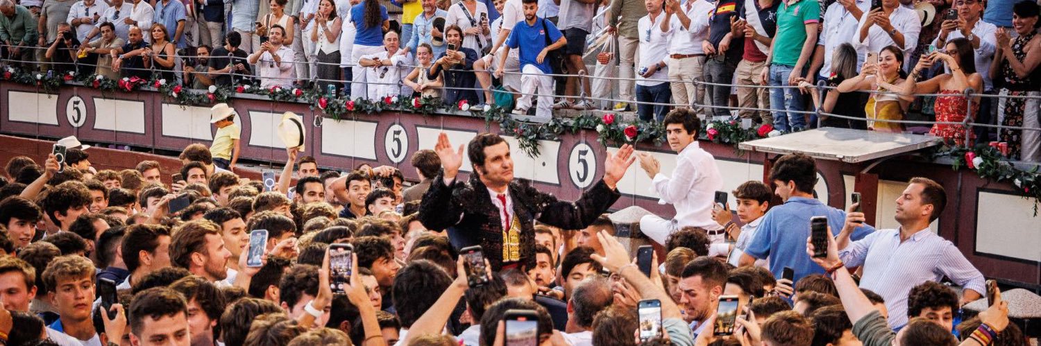 Alfonso's banner
