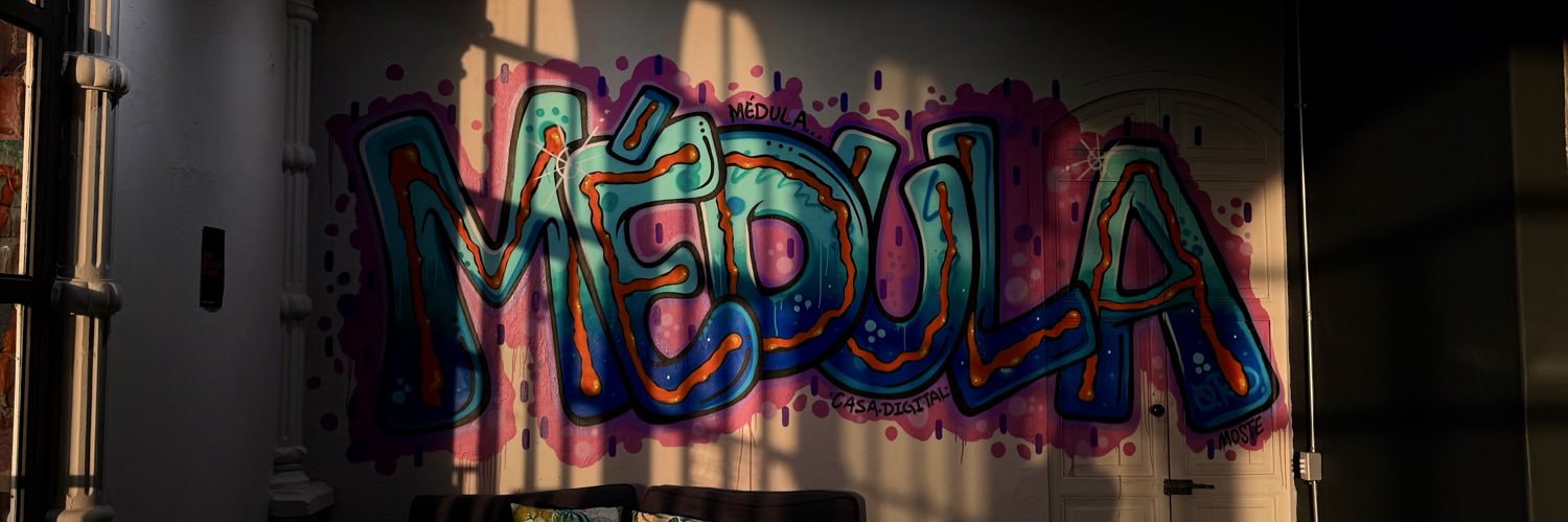 Pali Plax 💫☠️'s banner