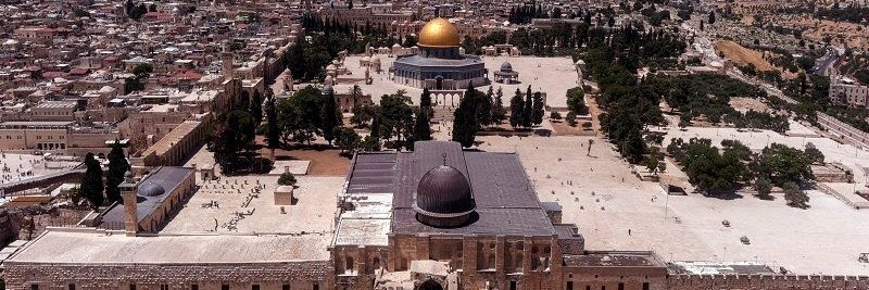 أحمد حسيني  🇵🇸's banner