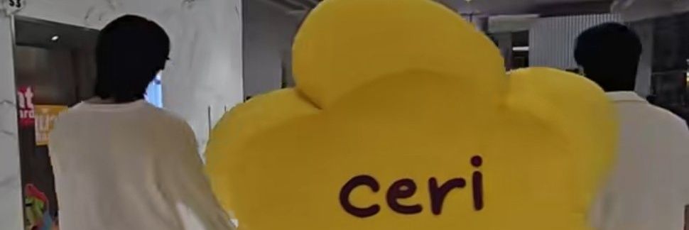 mint_to's banner