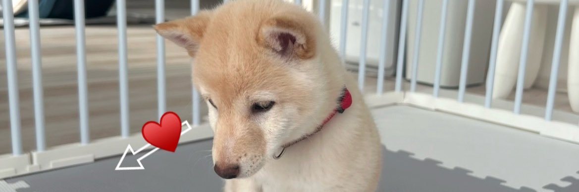 はるちむ🐾's banner