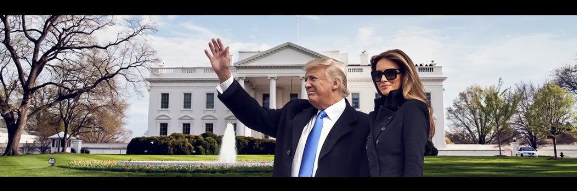 🌟🇺🇸Nancy Hamm🇺🇸🌟's banner