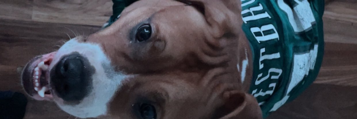 .'s banner