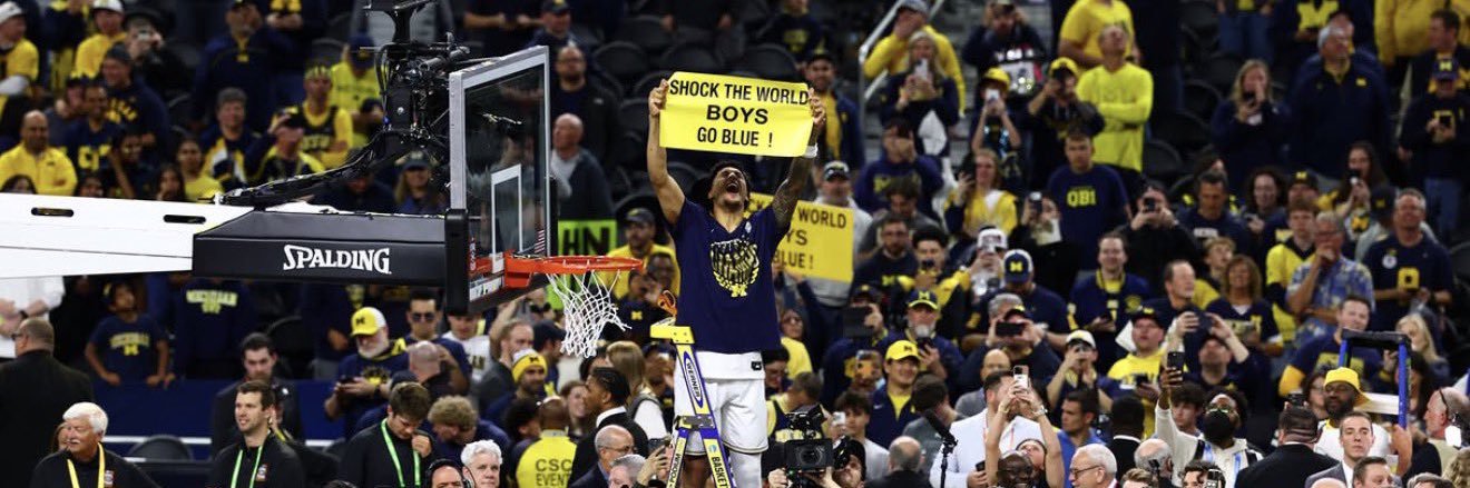 Luke D'Mello's banner