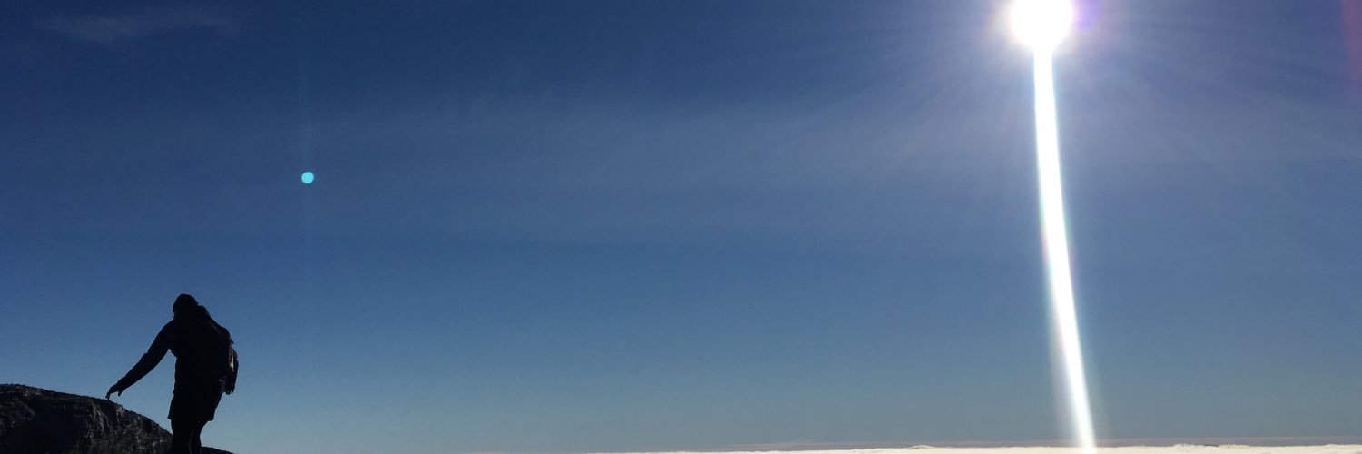 David Lillieström's banner