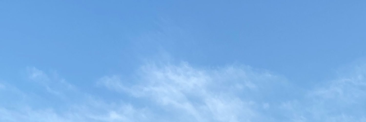 띠띠 .⌒🤍's banner