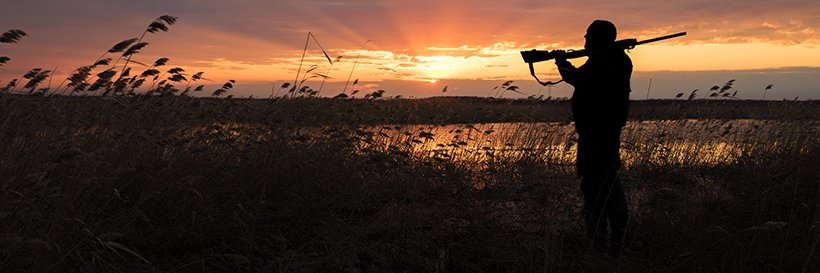 OpticsPlanet's banner