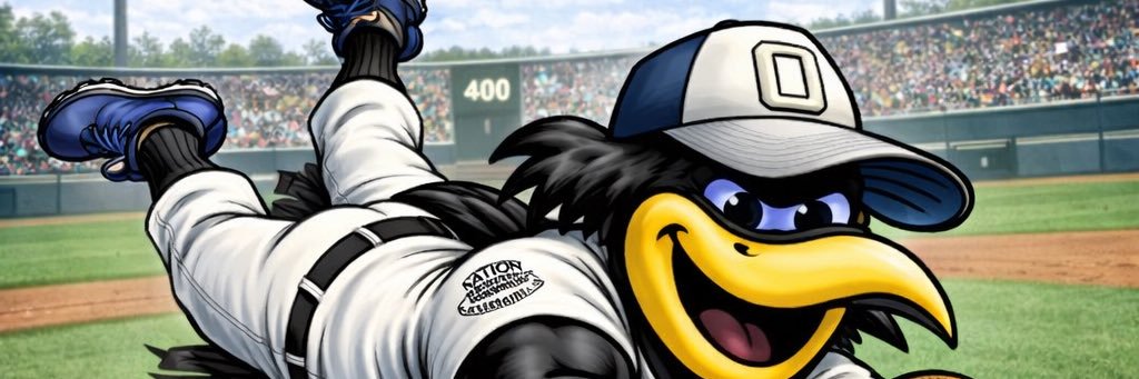 Ohio Warhawks®⚾️'s banner
