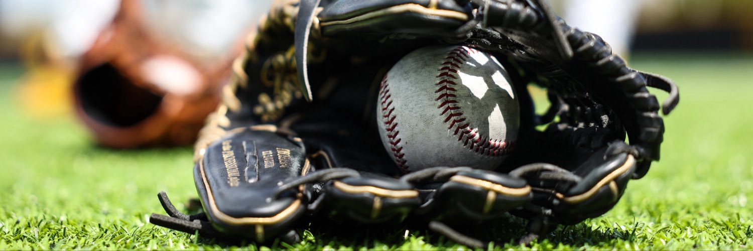 Iowa Baseball's banner
