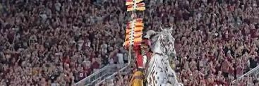 Gabriel Fertitta's banner