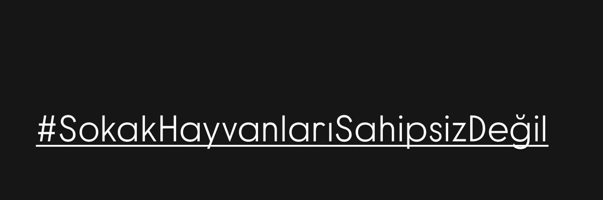 Yasemin Babayigit's banner