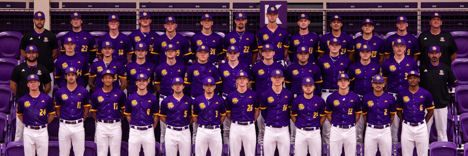 Western Illinois Baseball's banner