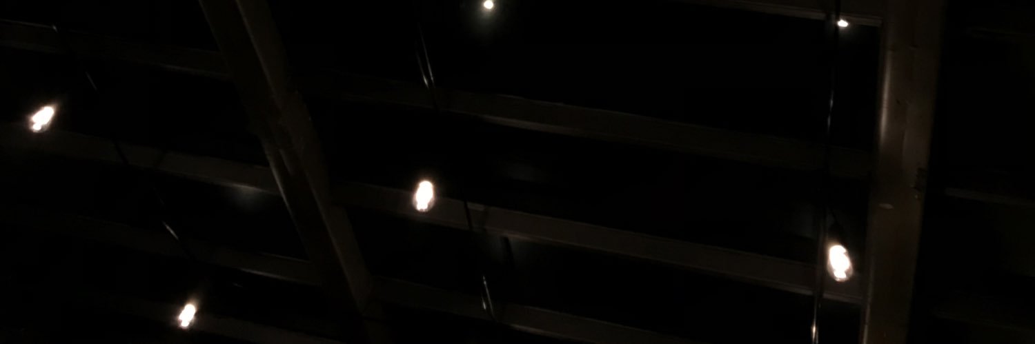 Pablo Carrera's banner