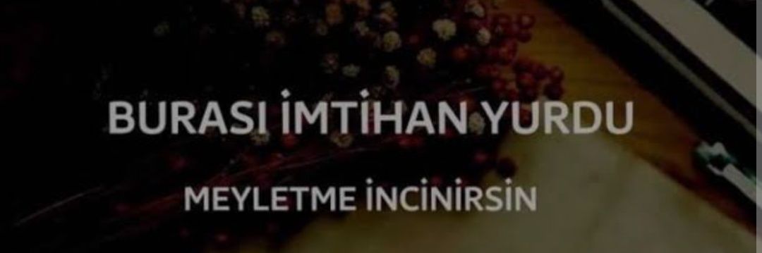 Alev Yalçın's banner