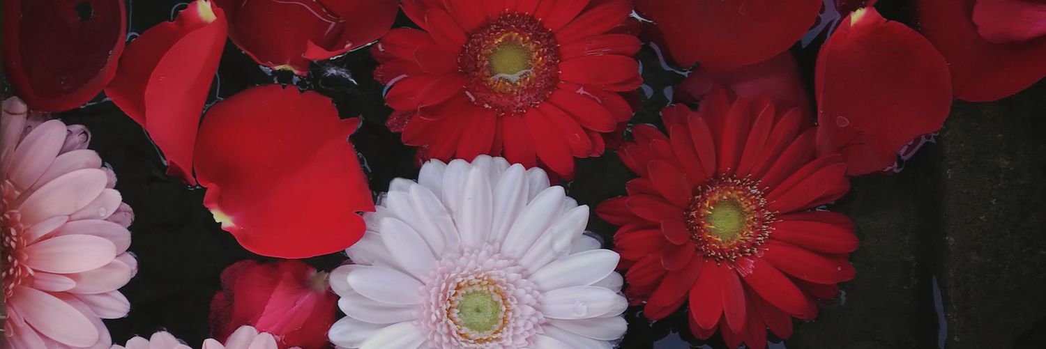 Kei Tachibana's banner