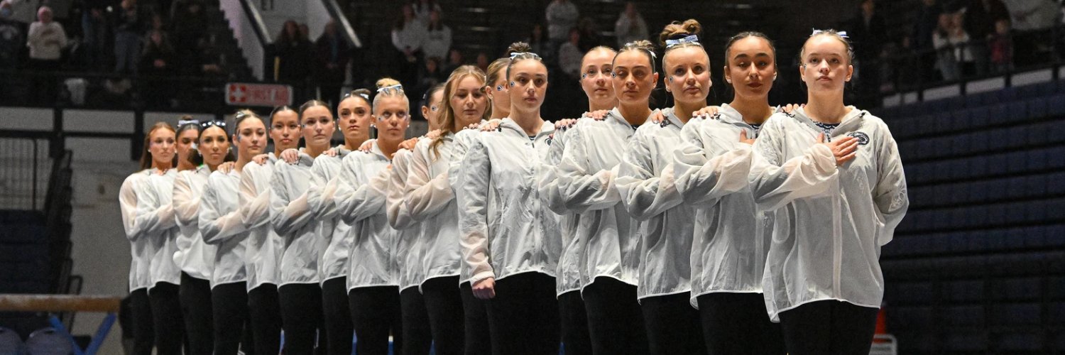 Penn State Women’s Gymnastics's banner