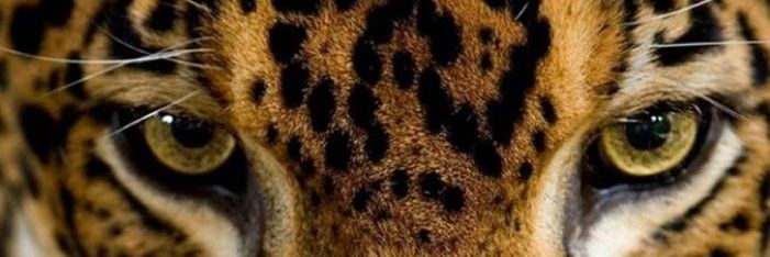 tereza 🔥's banner