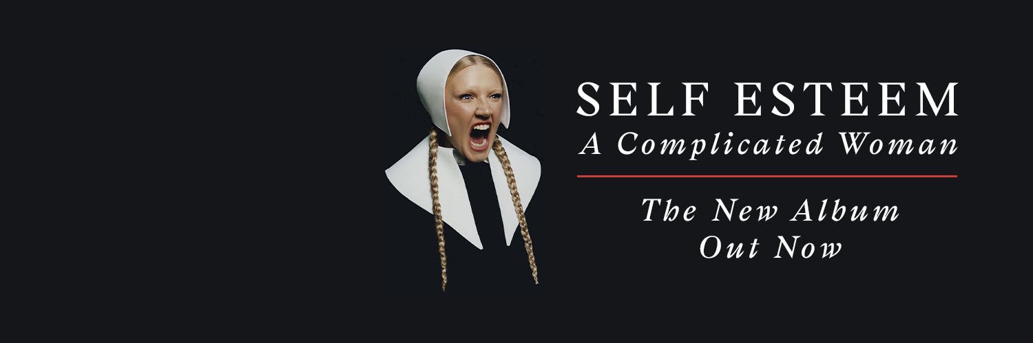 Self Esteem's banner