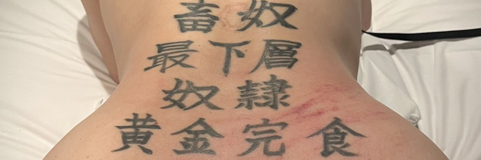 紫ノ様専属の最下層畜奴便器　専用便器's banner