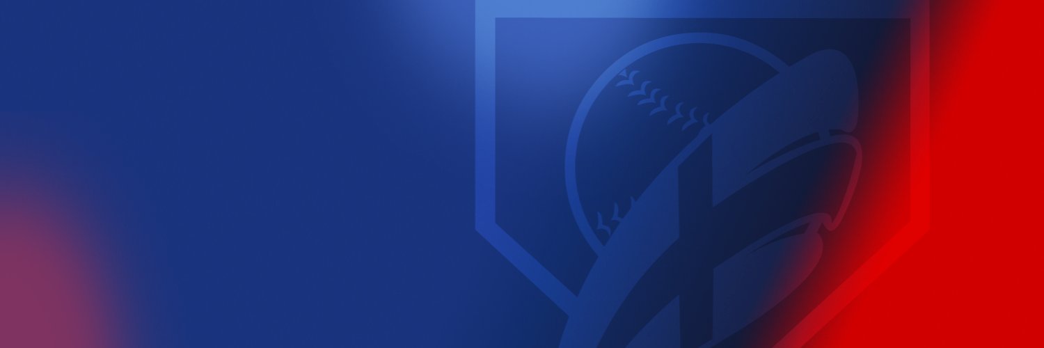 LIDOM's banner