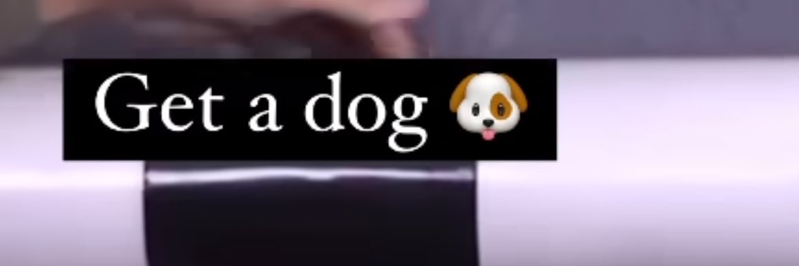 ga's banner