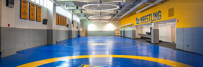 Pitt Wrestling's banner