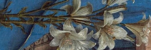 Filip Watteeuw's banner