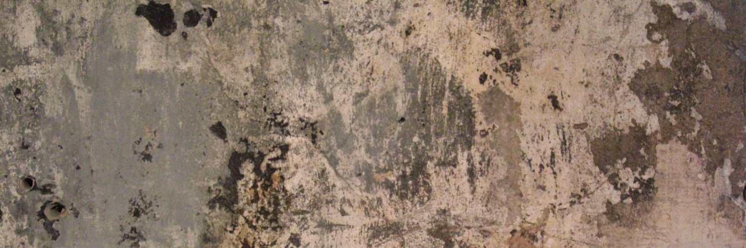 yuko asanuma's banner