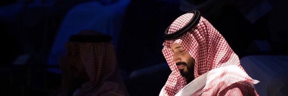 محمد بن نايف's banner