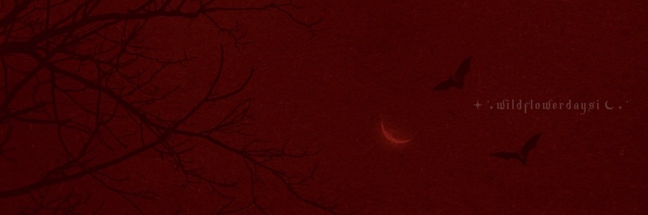 𖥔 ࣪˖ 𝓓𝓪𝔂𝓼𝓲 ⏾*:･'s banner