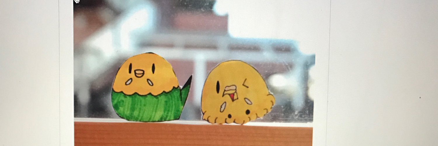 ハクサイーヌ（固定）@レタスの飼い主's banner