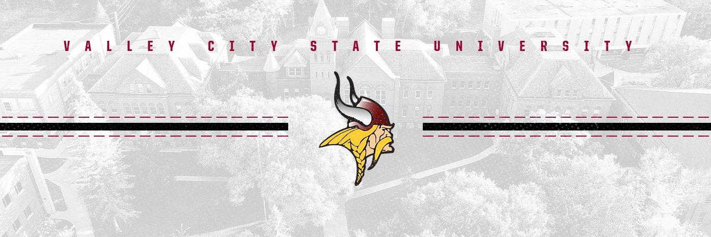 VCSU Vikings's banner