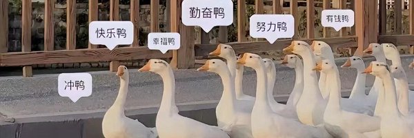 宠粉直播's banner