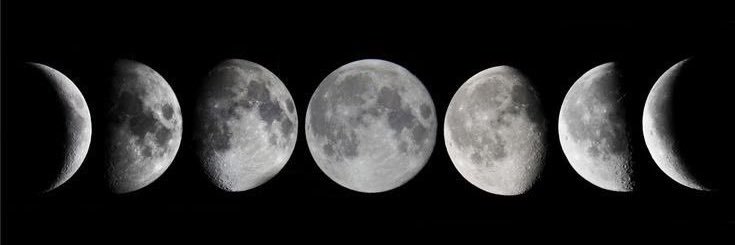 Nϟc▕⃝⃤le 🌙's banner