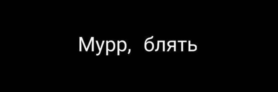 🐾kitekat не предл0гать🐾's banner