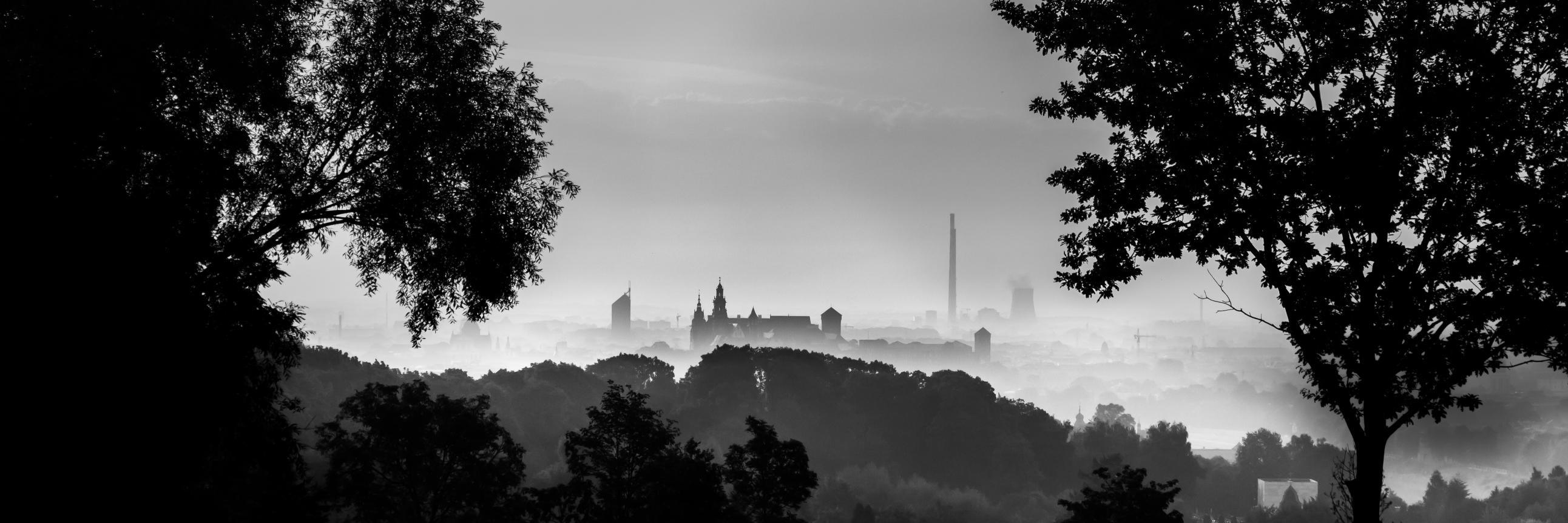 Tomasz Zawadzki's banner