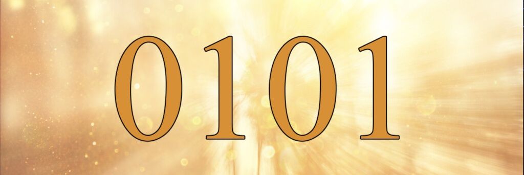 0 1 0 1's banner