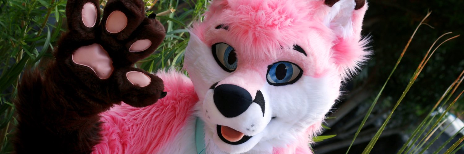 pjfoxes 🦊 🩷's banner