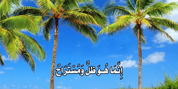 عبدالملك القاسم's banner