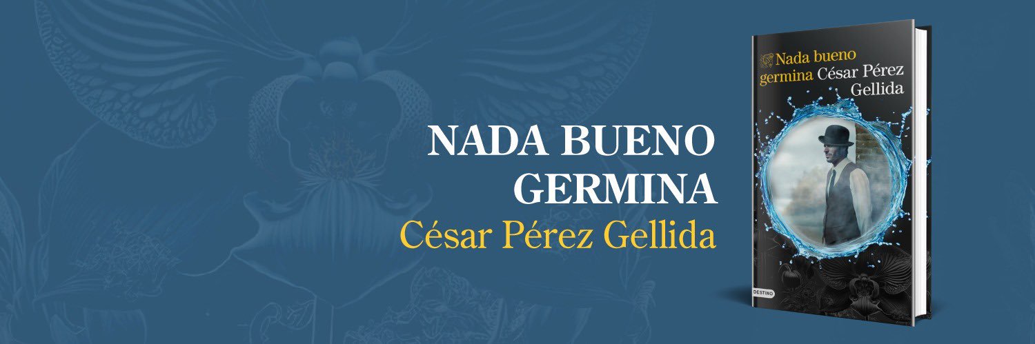 César Pérez Gellida's banner