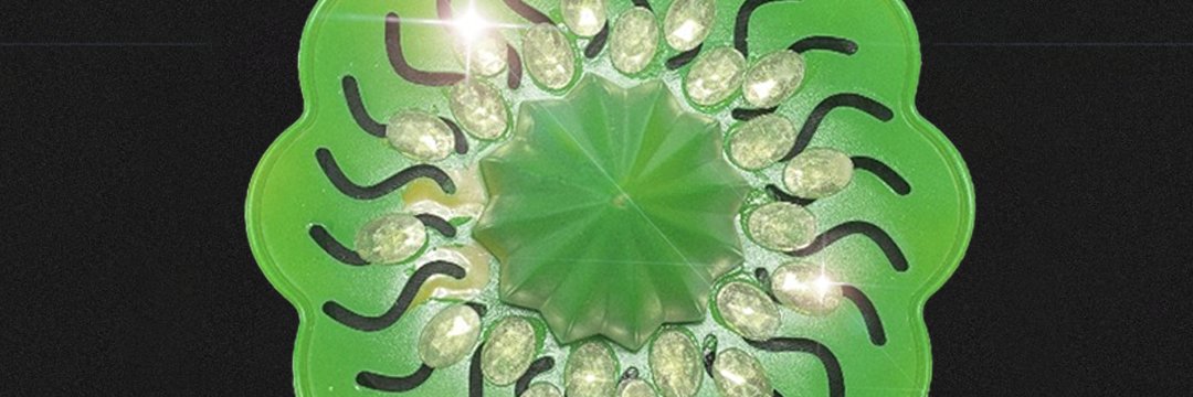 gg limona's banner