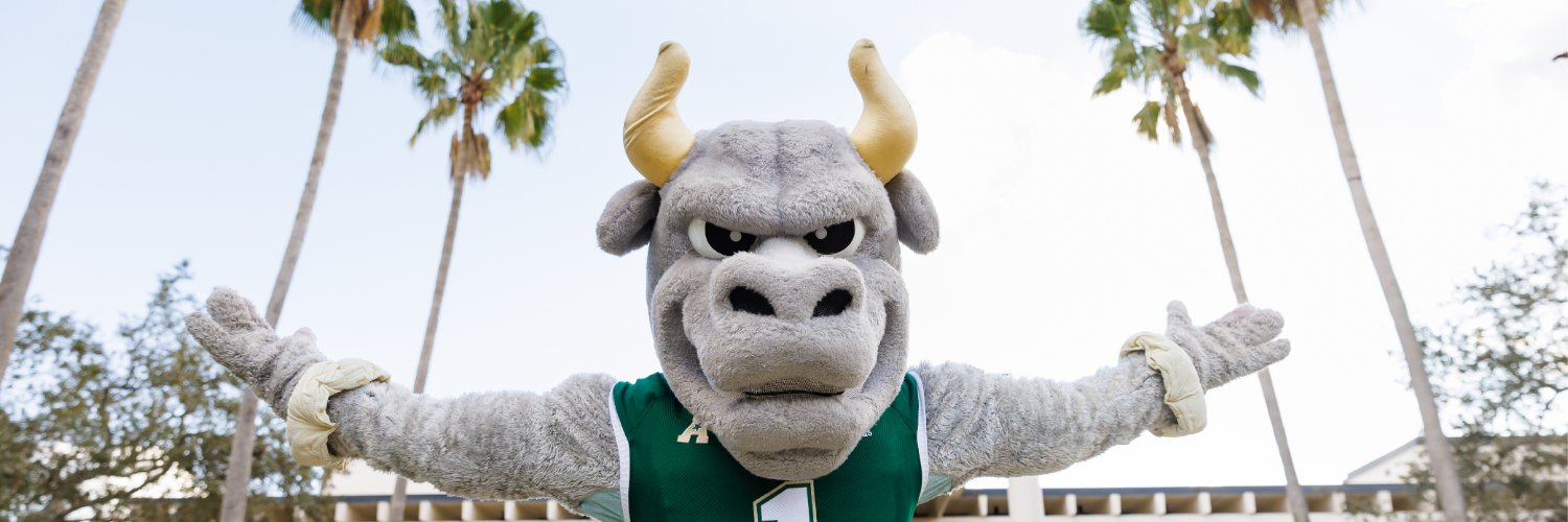 University of South Florida's banner