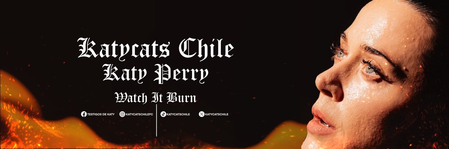 KatyCats Chile's banner