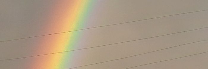 злюся's banner