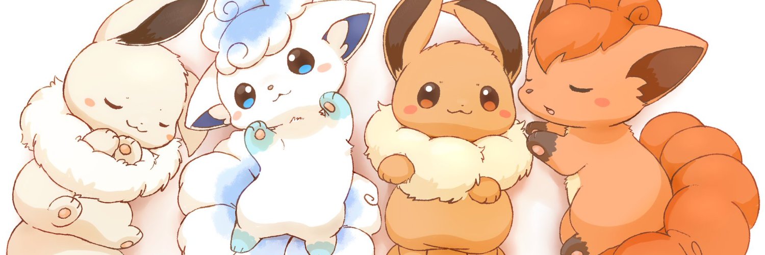 狐野チャッピー🦊's banner
