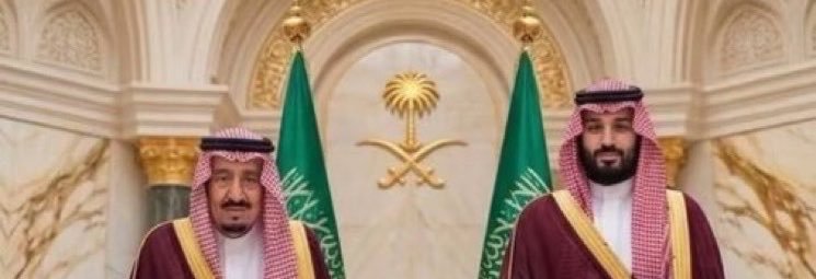 العميد(م) عضو المجلس سابقا،brigadier general's banner