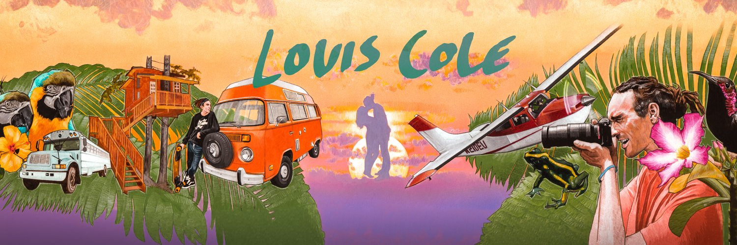 Louis Cole's banner
