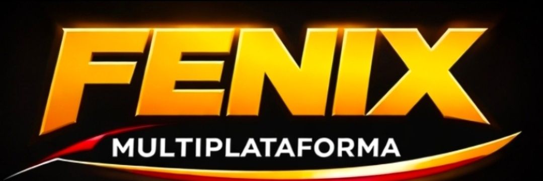 RADIO FÉNIX 95.1's banner